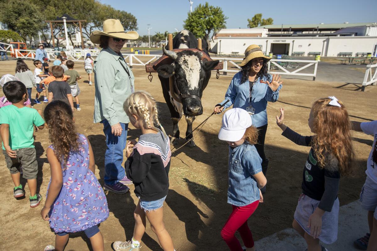 Volunteers Paula McCrown, left, and Therry Vargas wave to students from Newport Beach's Mariners Elementary School after introducing them to Patches the ox at Centennial Farm on Thursday.