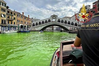 En esta imagen proporcionada por los bomberos italianos, se observa el Gran Canal de Venecia mancho de líquido verde fosforescente, el domingo 28 de mayo de 2023. La policía de Venecia está investigando la fuente del líquido verde. (Foto, Vigilí Del Fuoco vía AP)