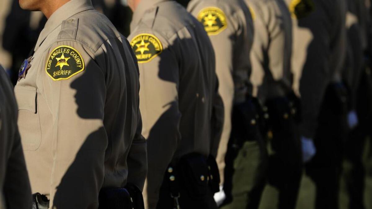The shoulders and backs of a row of sheriff's deputies in unform