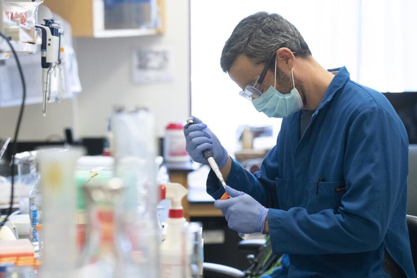 Biomedical engineering postdoc Alon Wellner works in Chang Liu's lab.