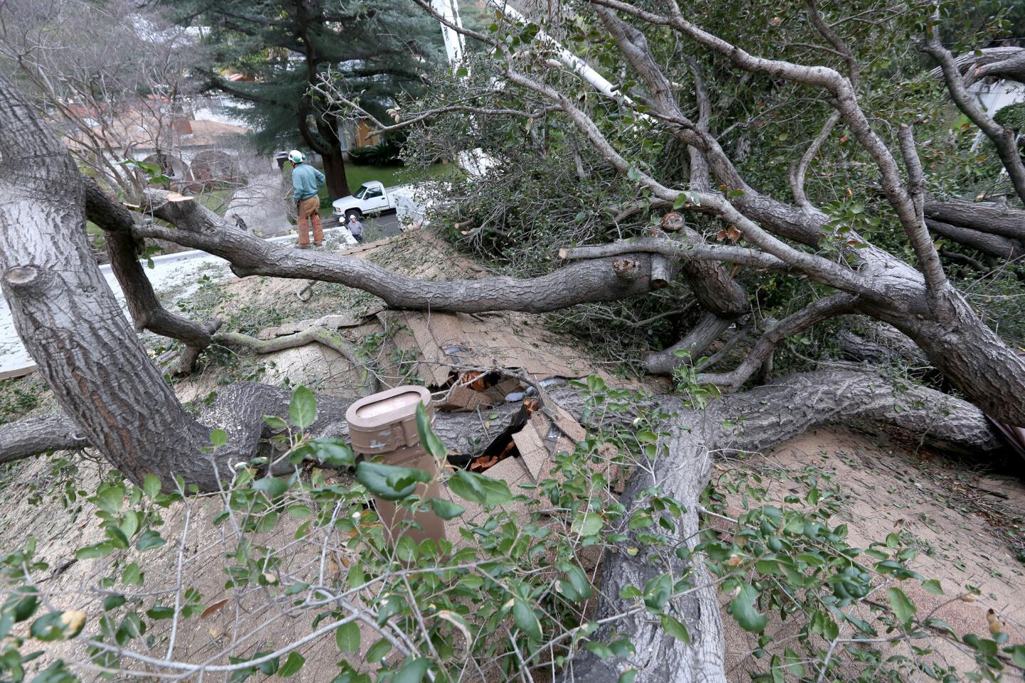 Photo Gallery: Large oak destroys home