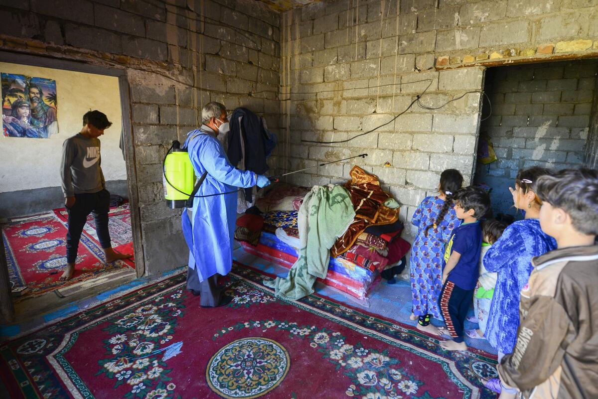 A worker disinfects a house in an impoverished neighborhood in Najaf, Iraq.