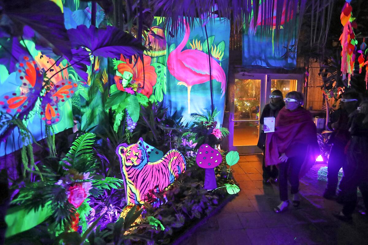 Guests walk through a glowing installation during the Nights of 1,000 Lights event at the Sherman Library & Gardens.