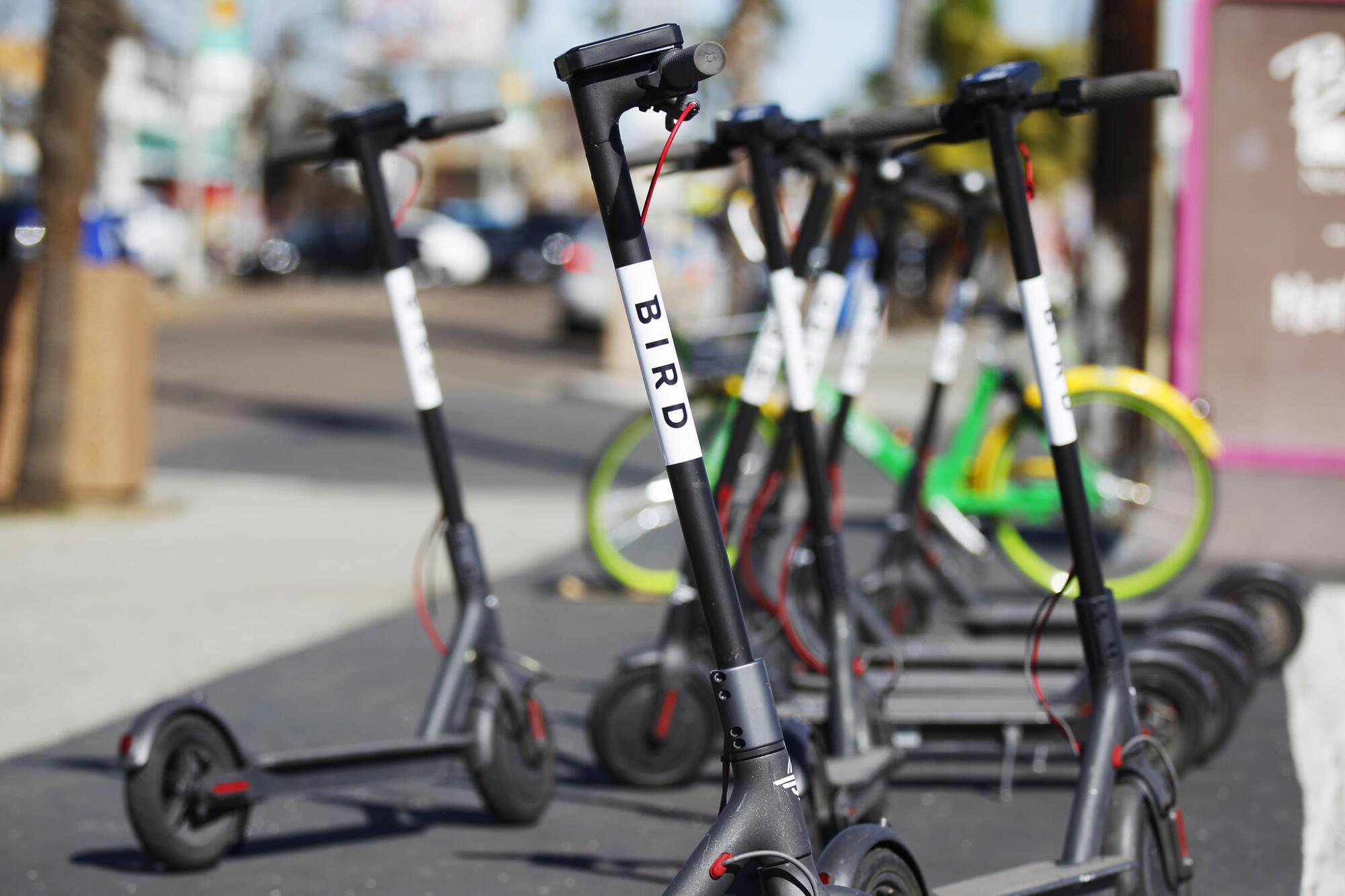 Bird electric scooters line Garnett Avenue in Pacific Beach.