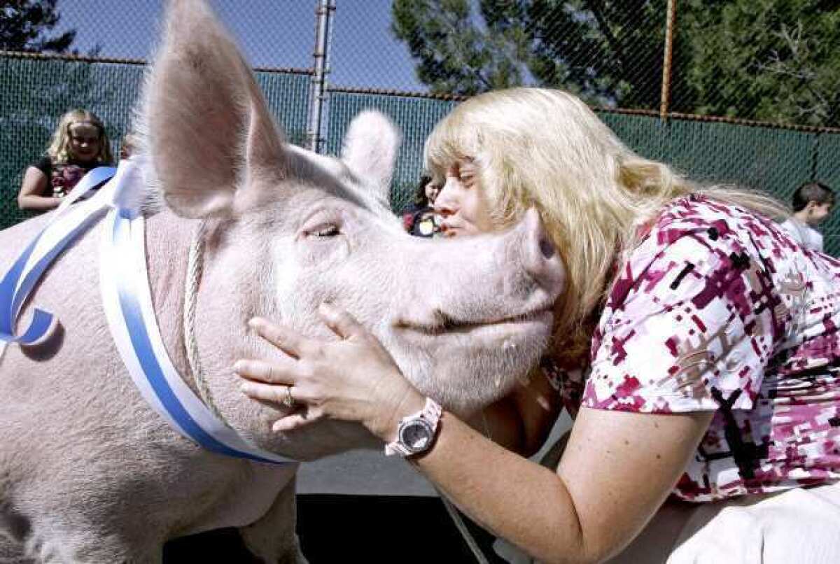 Valley View Elementary School principal Carla Walker puckers up for a kiss with Miss Marley the pig in front of 1st graders at the La Crescenta school.