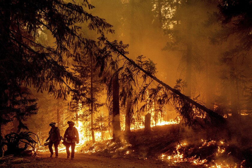 Firefighters and trees are silhouetted against flames