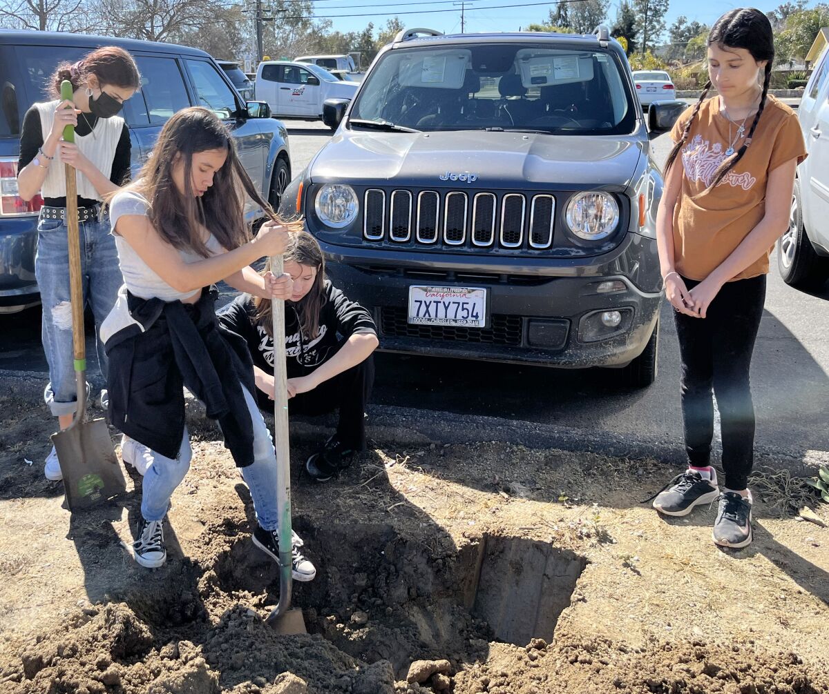 Students helping to plant trees are, from left, Chloe Beck, Celeste Martinez, Mikayla Pucillo and Alina Madrid.