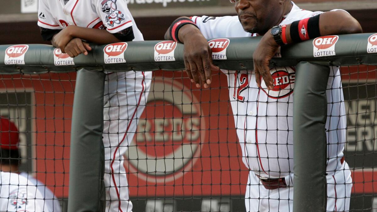 Video: Check out what Dusty Baker's son, now all grown up, did for Cal's  baseball team – East Bay Times