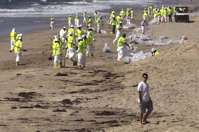 HUNTINGTON BEACH, CA - OCTOBER 5, 2021 - - A beachcomber walks past workers who continue to clean the beach from an oil spill earlier this week at Huntington Beach on Saturday, October 5, 2021. (Genaro Molina / Los Angeles Times)