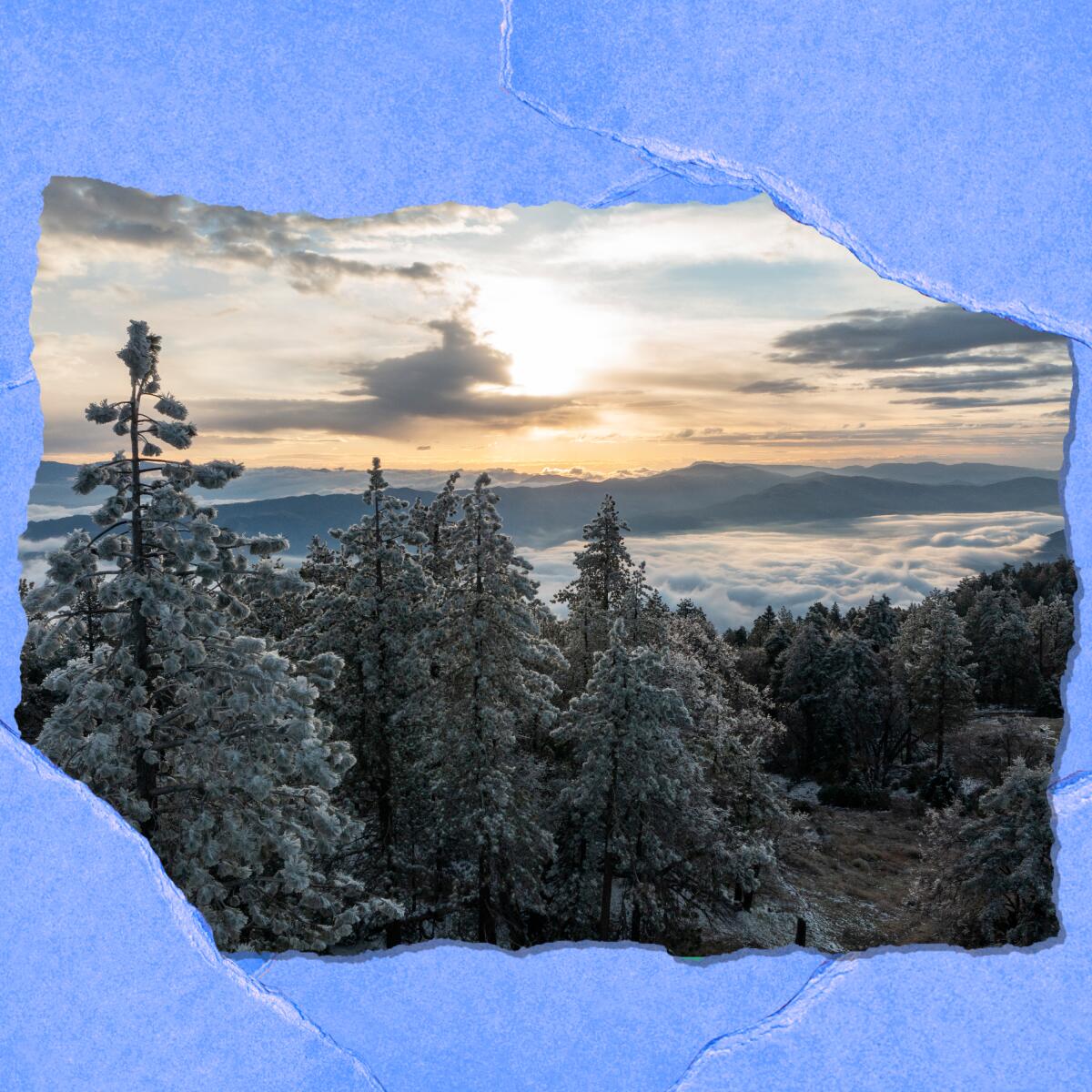 Scene of clouds, trees and land.