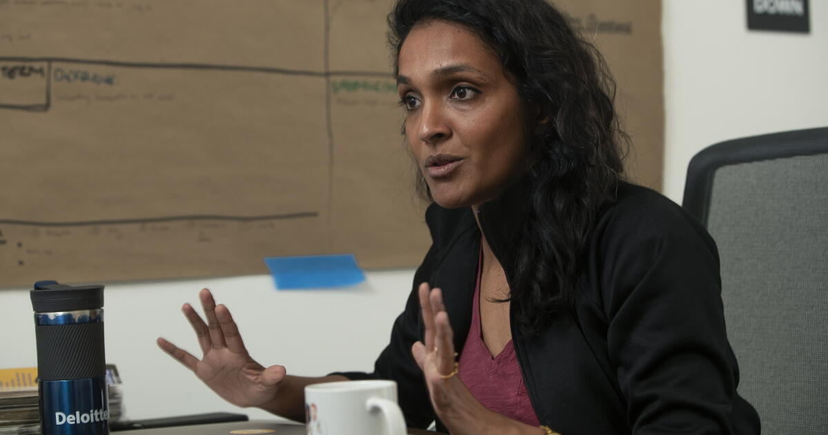 Natha Raman New map could cost Raman 40% of her L.A. council district - Los Angeles ...
