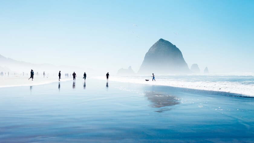 Drive The Northern Oregon Coast Haystack Rocks Giant Dunes