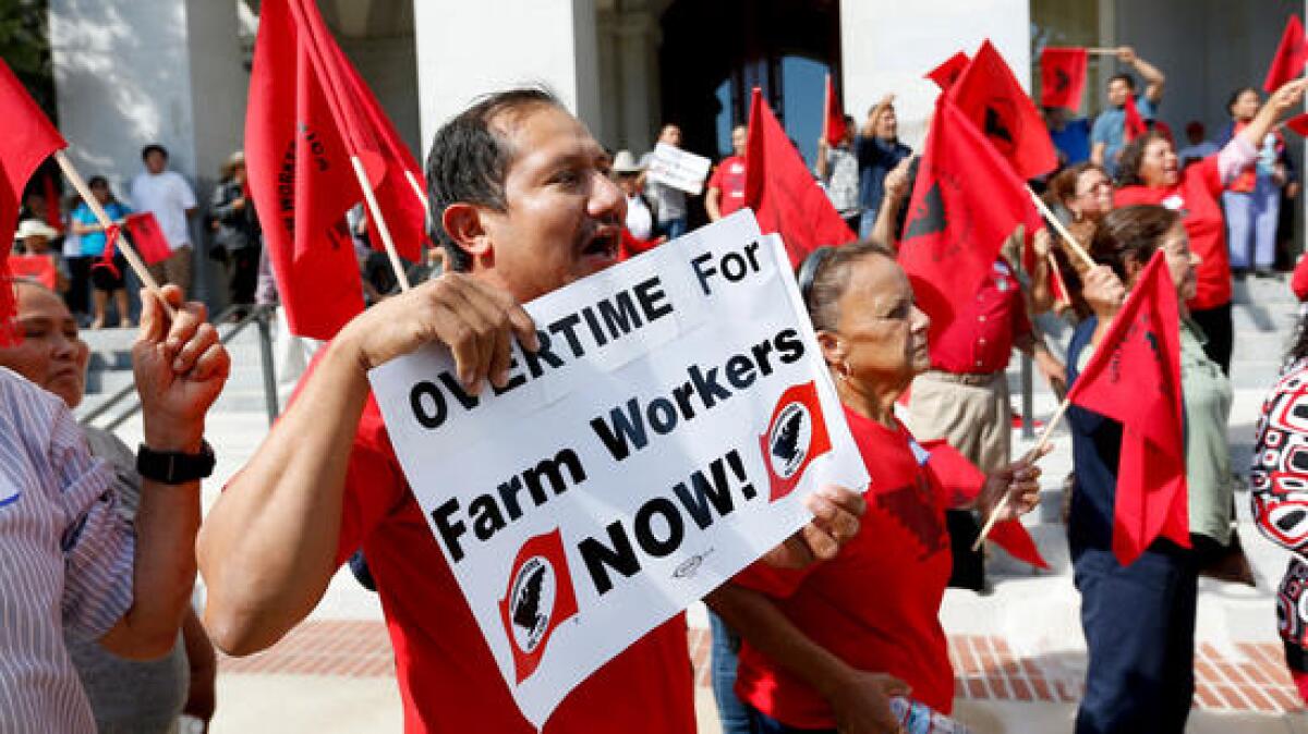 Members of the United Farm Workers union hold a rally outside the Capitol in Sacramento after California lawmakers passed legislation that would expand overtime pay for more than 825,000 laborers.