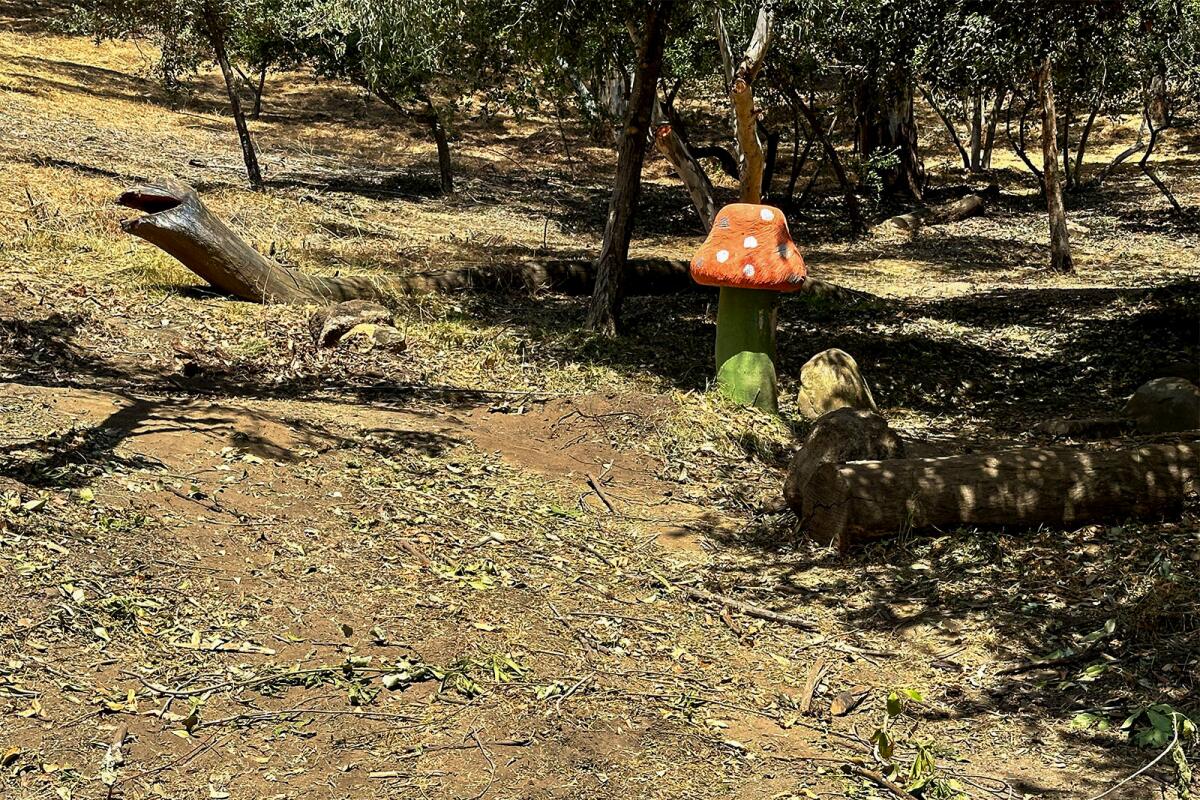 The Children's Garden in Elysian Park after the brush clearance.