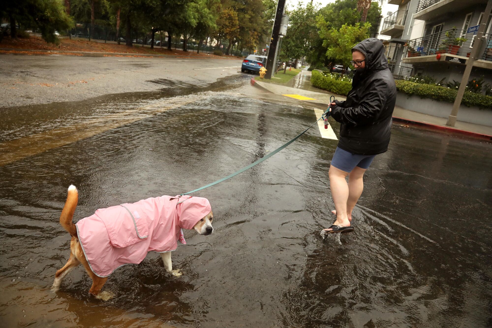 A person in a dark hooded jacket holds the leash of her dog, covered by a pink raincoat, while standing on a flooded street 