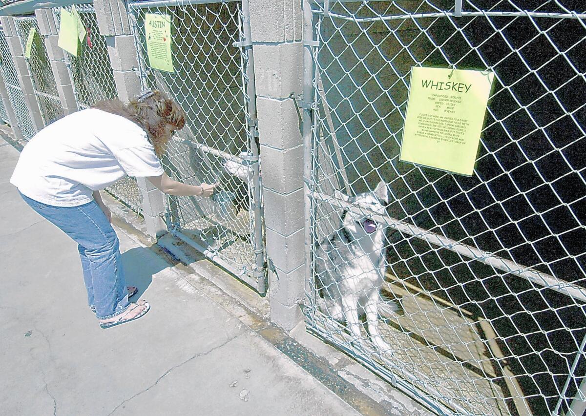 The city of Costa Mesa plans to provide up to $50,000 toward improvements at the Orange County Humane Society animal shelter in Huntington Beach, pictured.