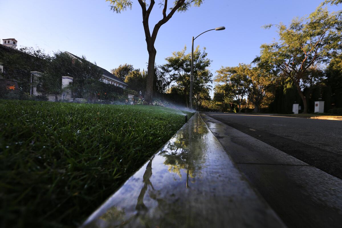 Sprinklers water a yard at dusk in Beverly Hills.