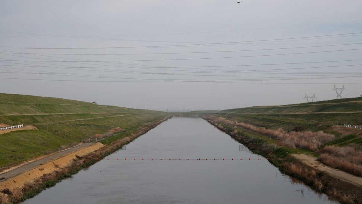 The intake channel at the C.W. "Bill" Jones Pumping Plant in Tracy. The federal plant sends water south to San Joaquin Valley farmers.