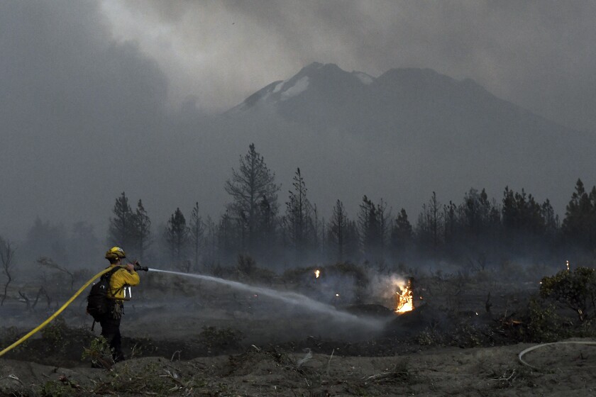 A firefighter cools down hot spots on June 28 near Mt. Shasta. 