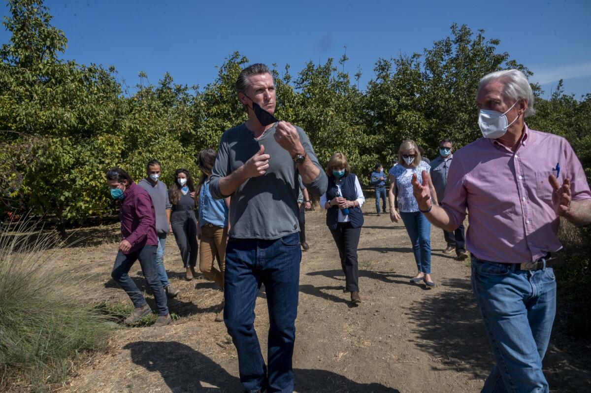  California Gov. Gavin Newsom tours Sierra Orchards walnut farm
