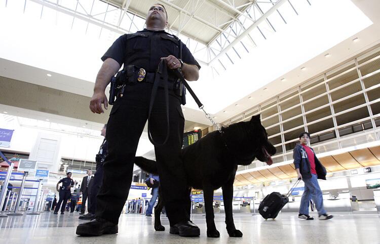 Officer and bomb-sniffing dog