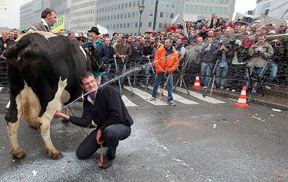 A man sprays milk directly from a cow's udders during a demonstration in front of the EU headquarters. Agriculture ministers from across Europe are to gather in Brussels for a special meeting on what some call a crisis in dairy production. Farmers around the EU have been dumping milk stocks and withholding supplies in protest of what they say are uneconomic prices for milk.