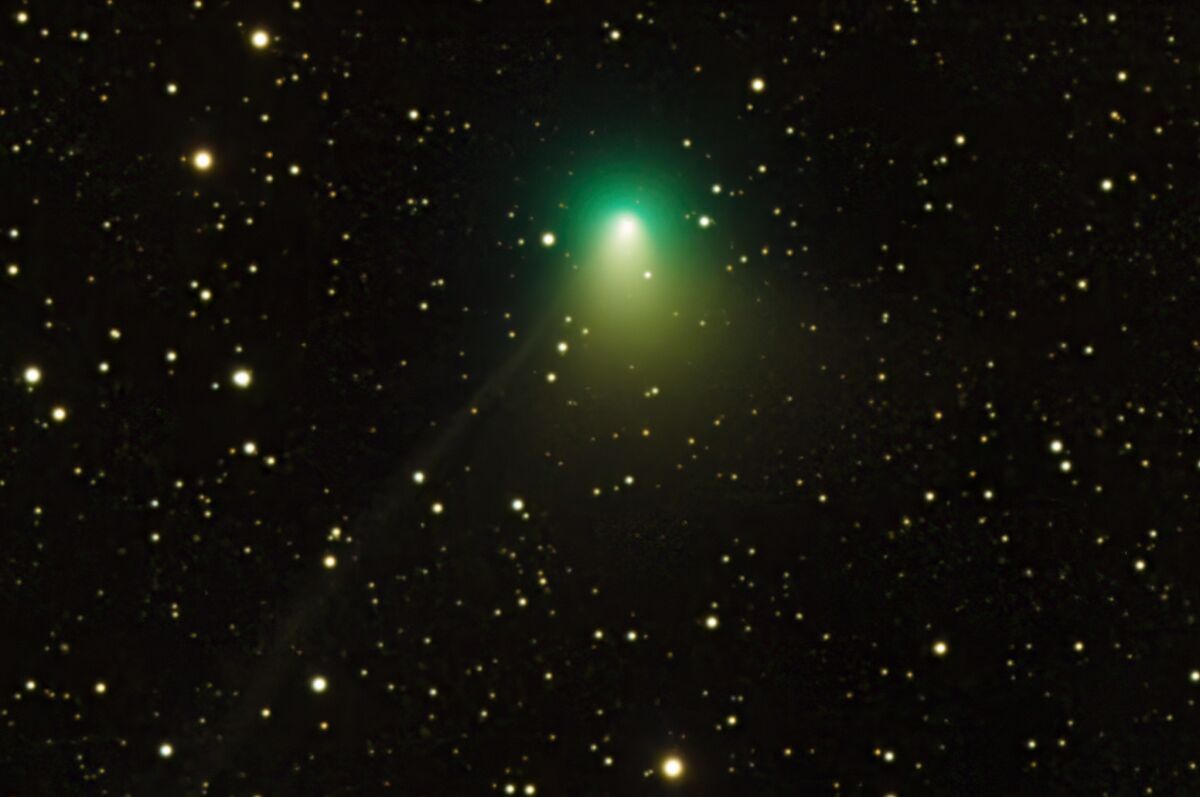 Eliot Herman used a remote iTelescope from Mayhill, New Mexico, to capture this image of Comet 2022 E3 ZTF