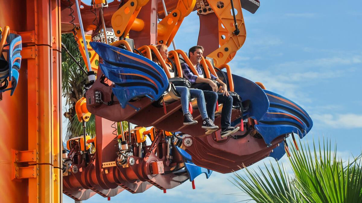 "Thrill Factor" hosts Kari Byron and Tory Belleci ride Falcon's Fury drop tower at Busch Gardens Tampa.