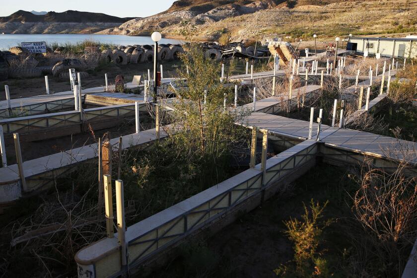 Vegetation grows between boat slips at the now-defunct Echo Bay Marina in the Lake Mead National Recreation Area near Las Vegas.