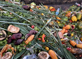 Produce is piled in a dumpster.