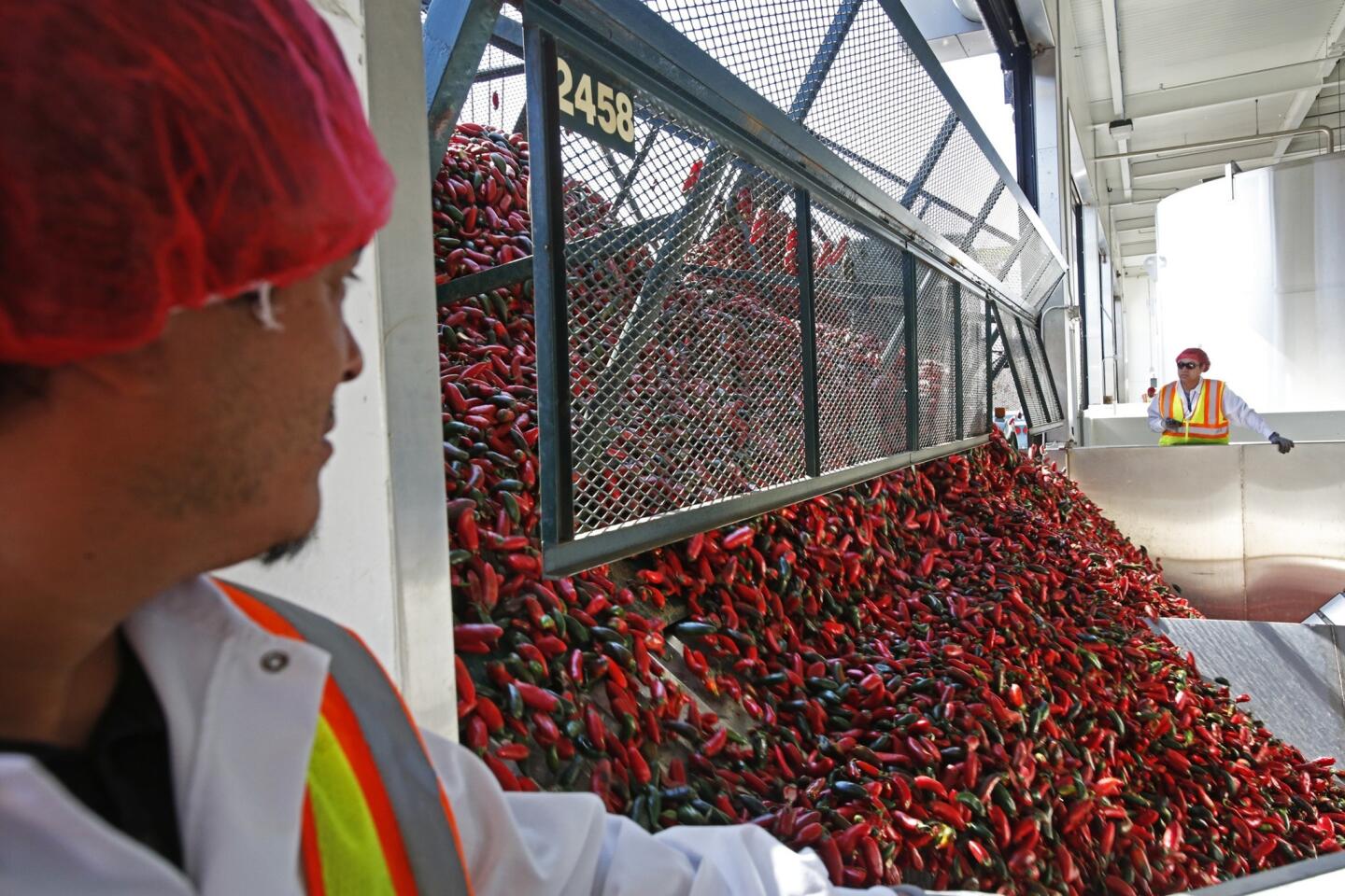 The peppers are unloaded from a truck into the factory as 300 sriracha fans tour Huy Fong Foods in Irwindale.
