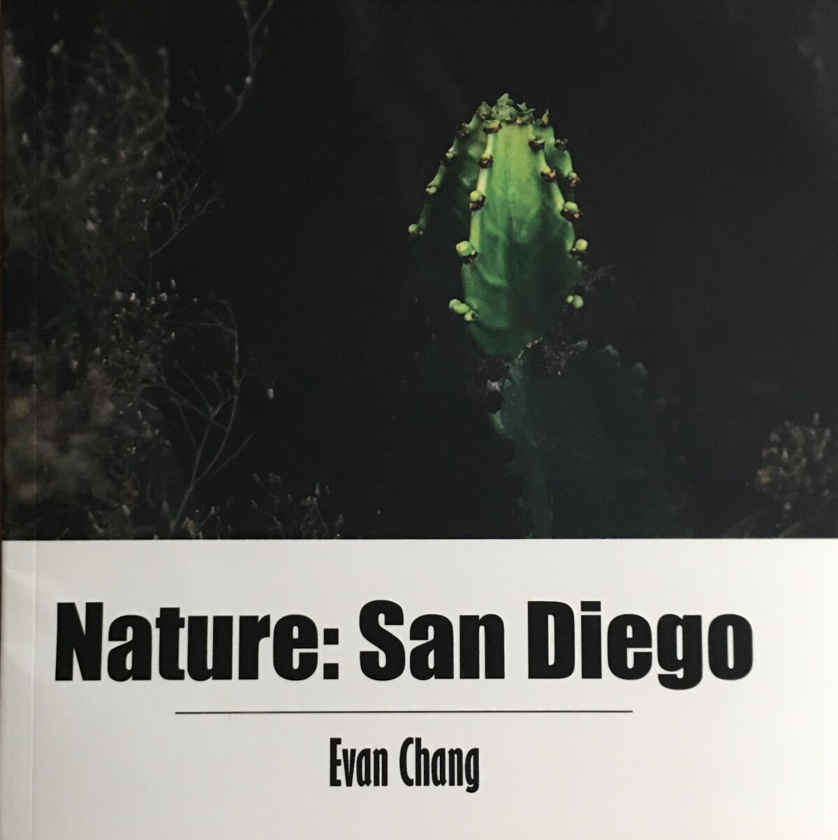 "Nature: San Diego" was released in April.