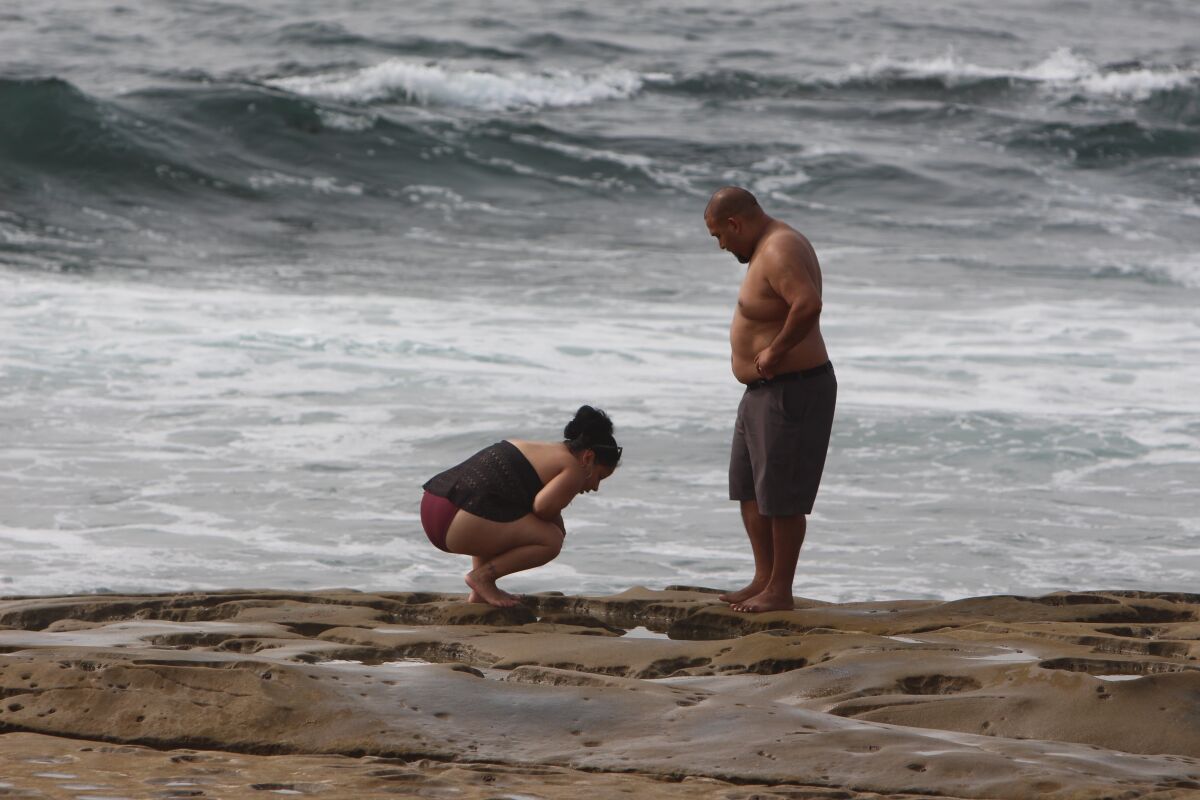 Two beach-goers look at — but don't touch — a tidepool in La Jolla this month.