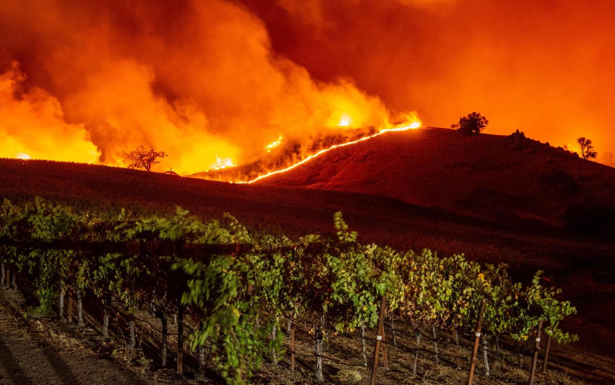 Flames approach rolling hills of grapevines during the Kincade fire near Geyserville, Calif., on Thursday.