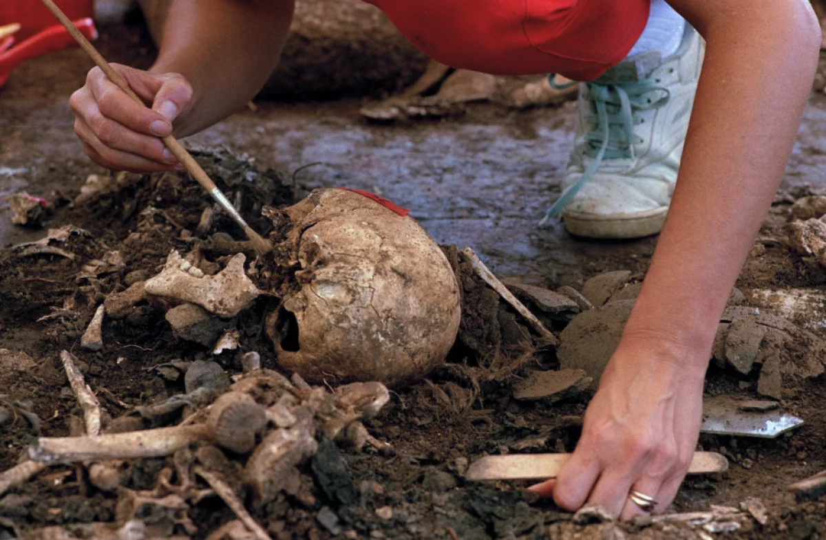 la antropóloga forense argentina Claudia Bernardi limpia un cráneo 