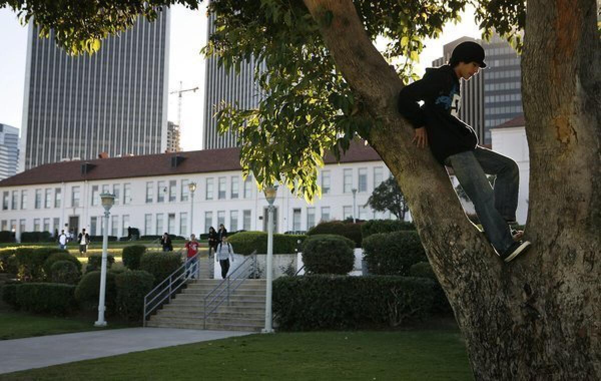 Students on the Beverly Hills High School campus. The Beverly Hill School District will conduct a review of its relationship with a for-profit summer sports camp that is owned by the school's principal.