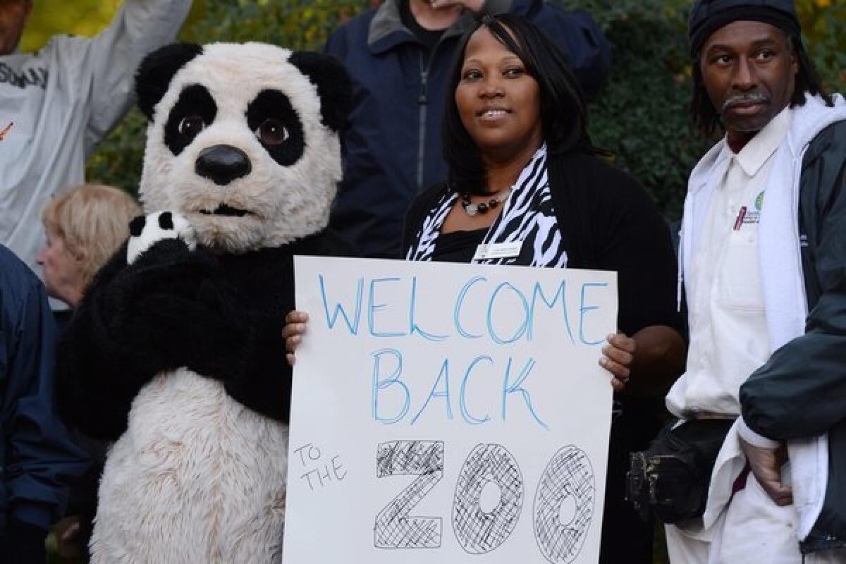 Employees at the Smithsonian National Zoological Park in Washington, D.C., welcome back visitors with signs and a panda costume. The zoo reopened to the public after the federal government shutdown ended.