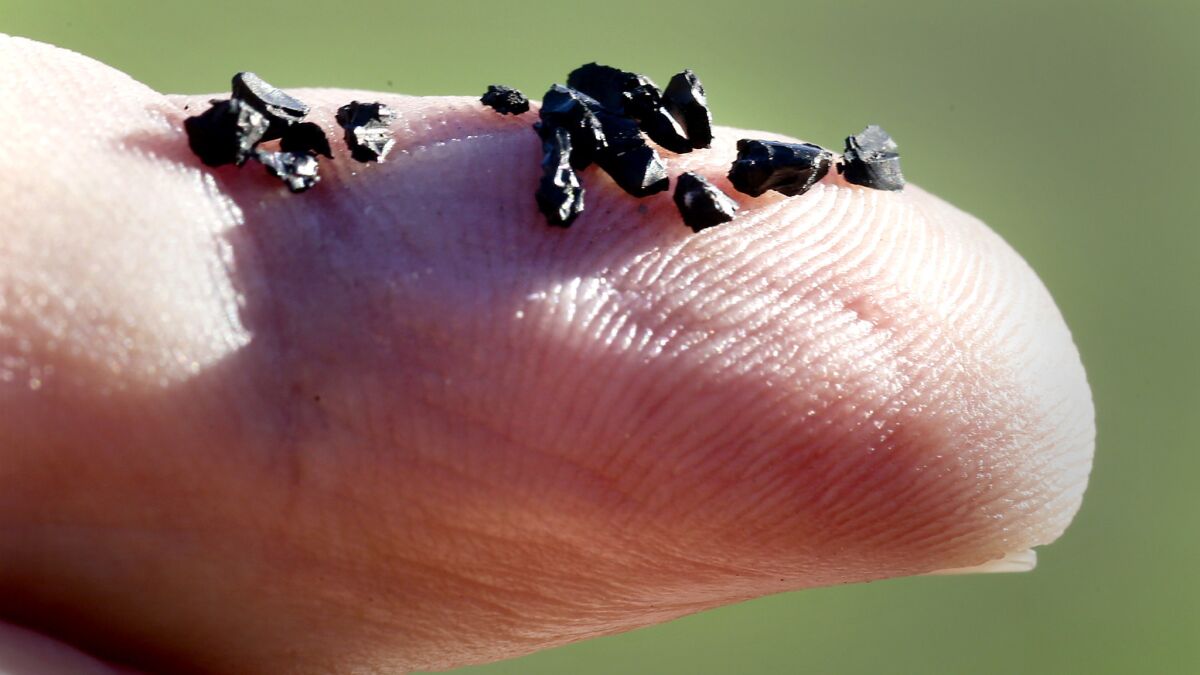 A few of the rubber granules used as infill on the UCLA intramural field are shown across a fingertip.