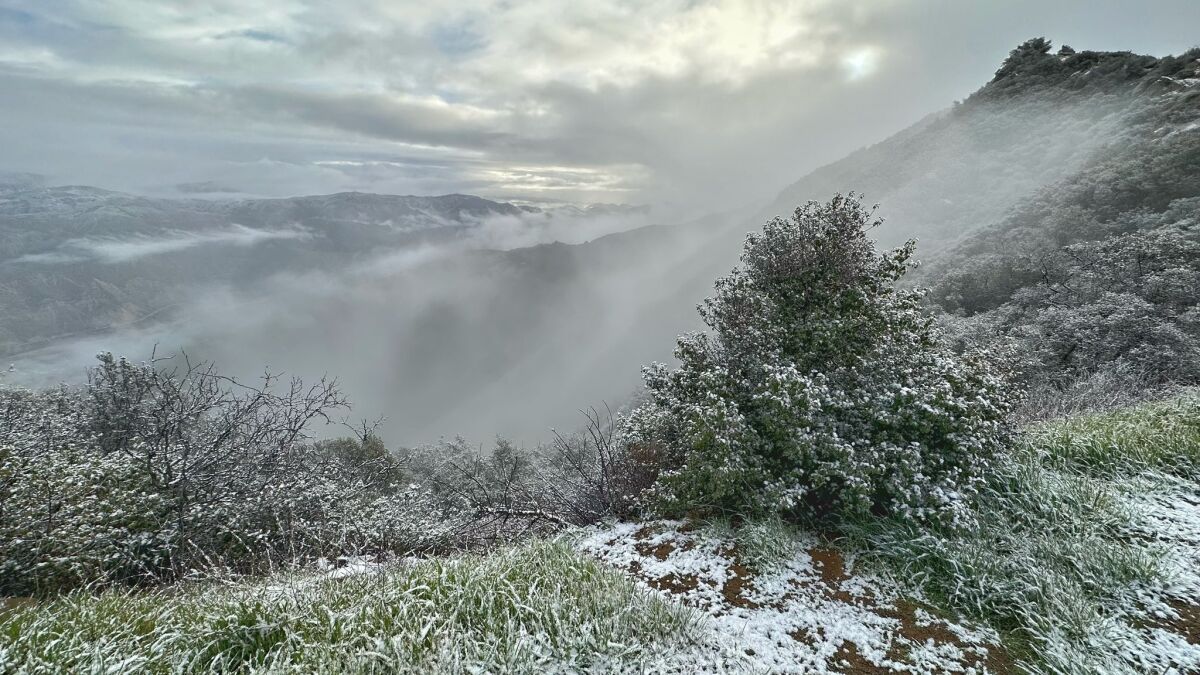 A light snow falls along Painted Cave Road in the mountains above Santa Barbara on Thursday.