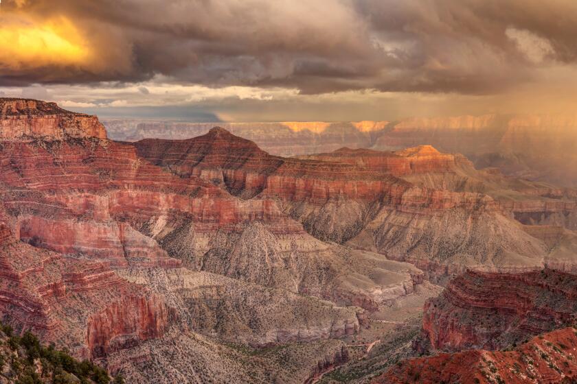 Passing storm in the Grand Canyon, Clouds, Rain, rainbow creates a dramatic sky and scenery at the North rim of the Grand Cayon National Park, Arizona