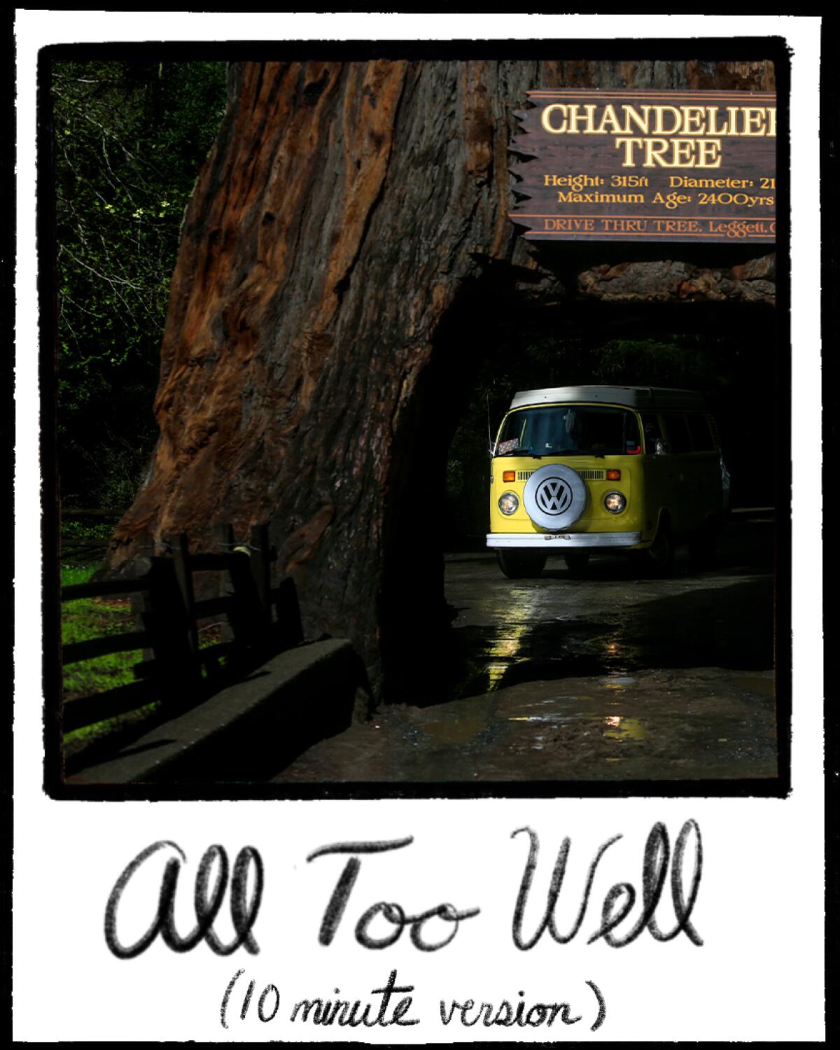 An illustrated polaroid frame with a picture of a VW van driving through a tree trunk