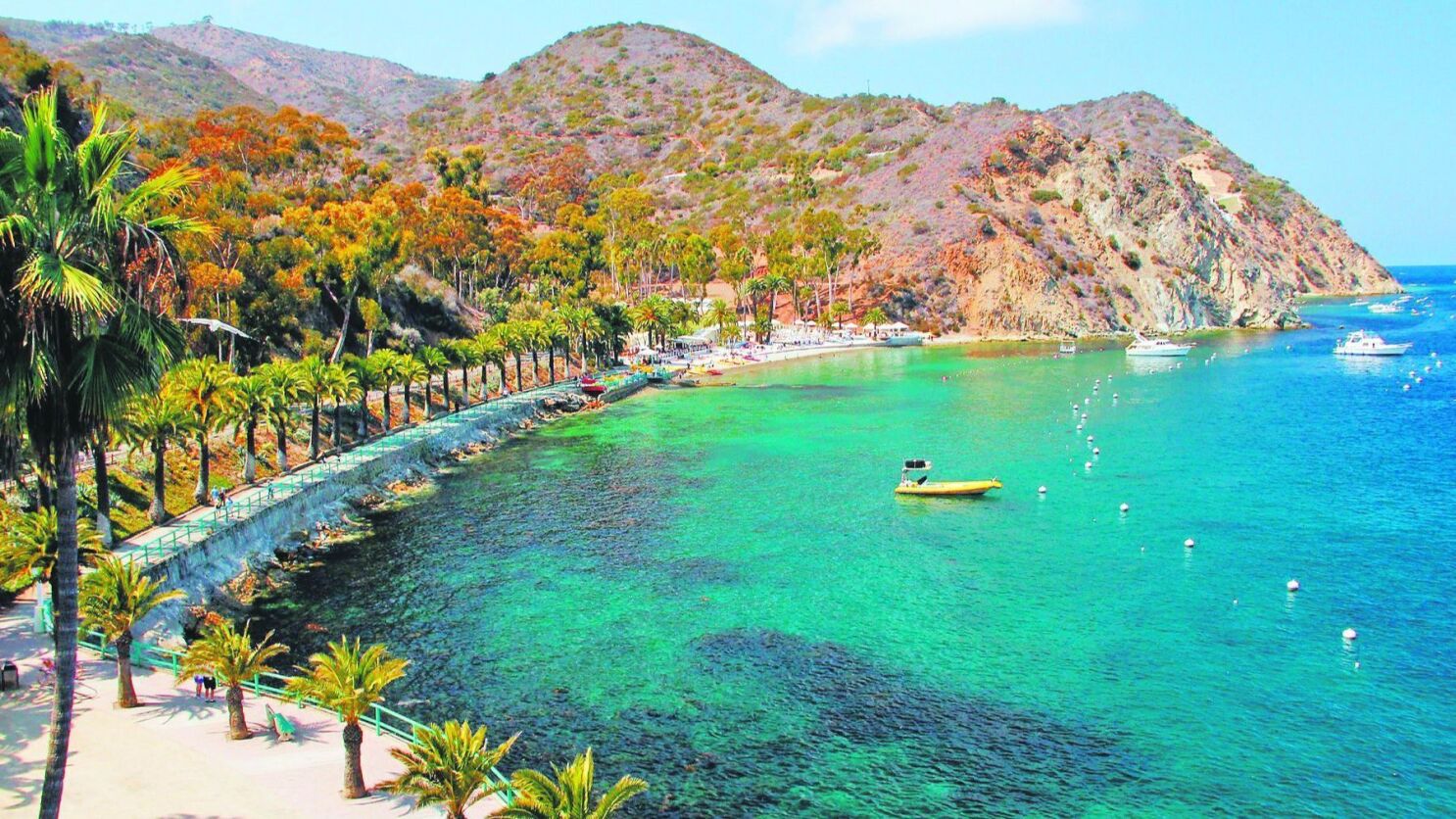 Catalina Island