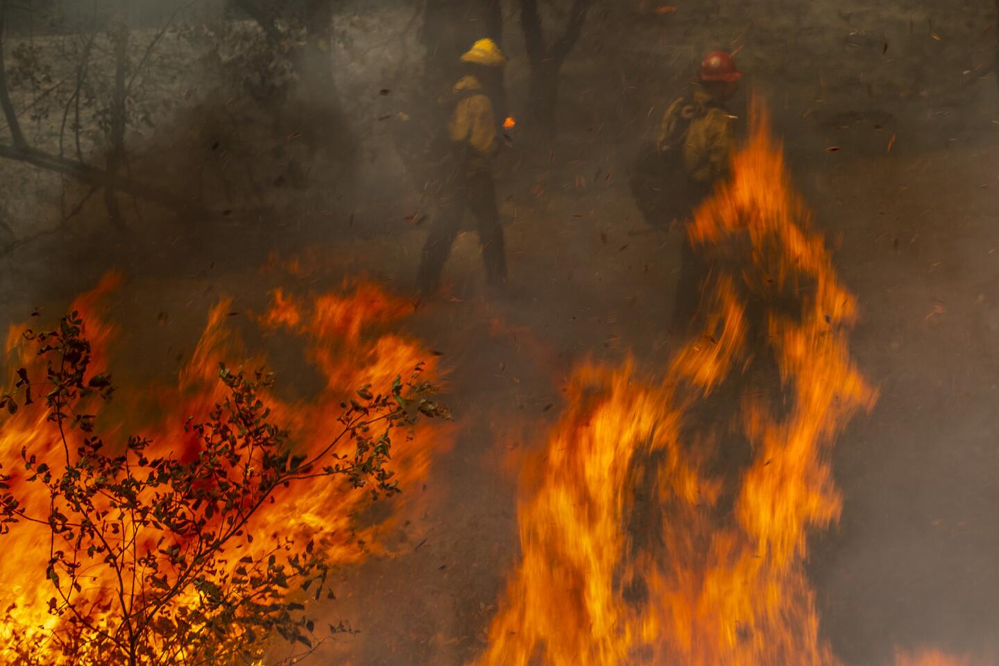 Firefighters are seen behind leaping flames.