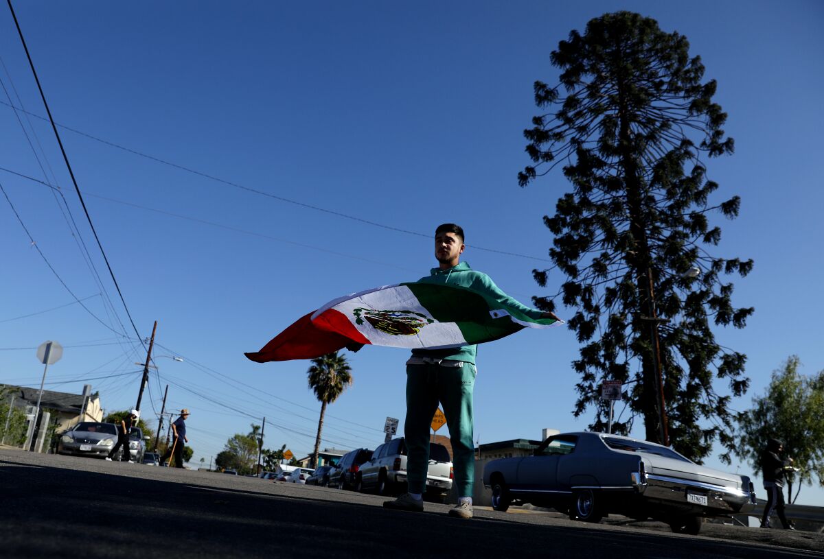 A man stands in a street holding the flag of Mexico, with a tall pine in the background