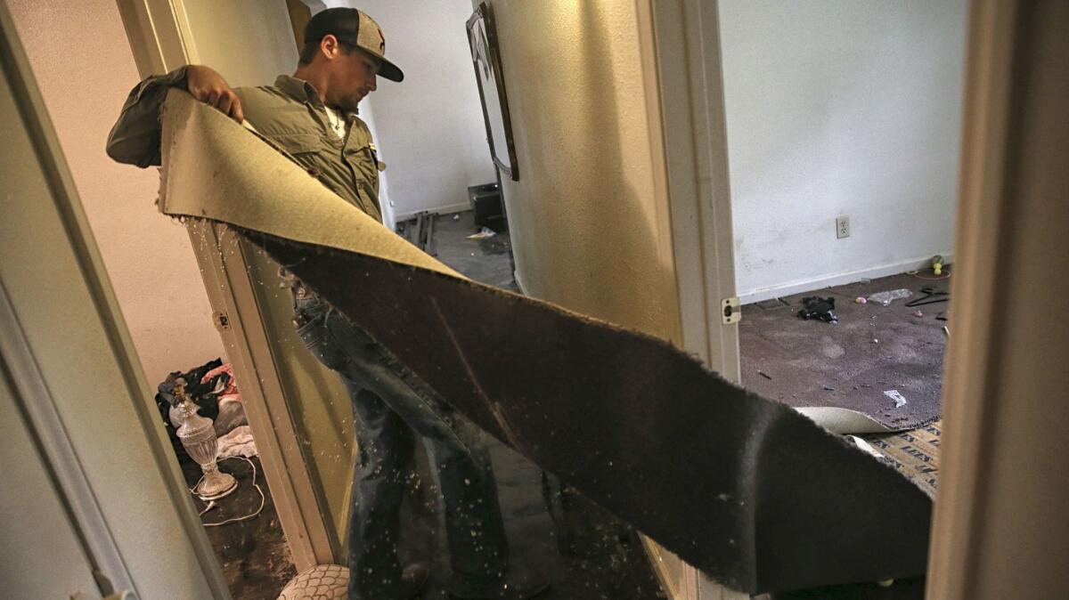 An east Houston landlord strips a house of drenched carpet as many people return home to begin rebuilding from the devastating effects of Hurricane Harvey.