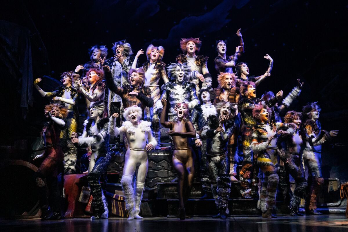The touring company of the musical "Cats," which plays Sept. 27-Oct. 2 at the San Diego Civic Theatre.