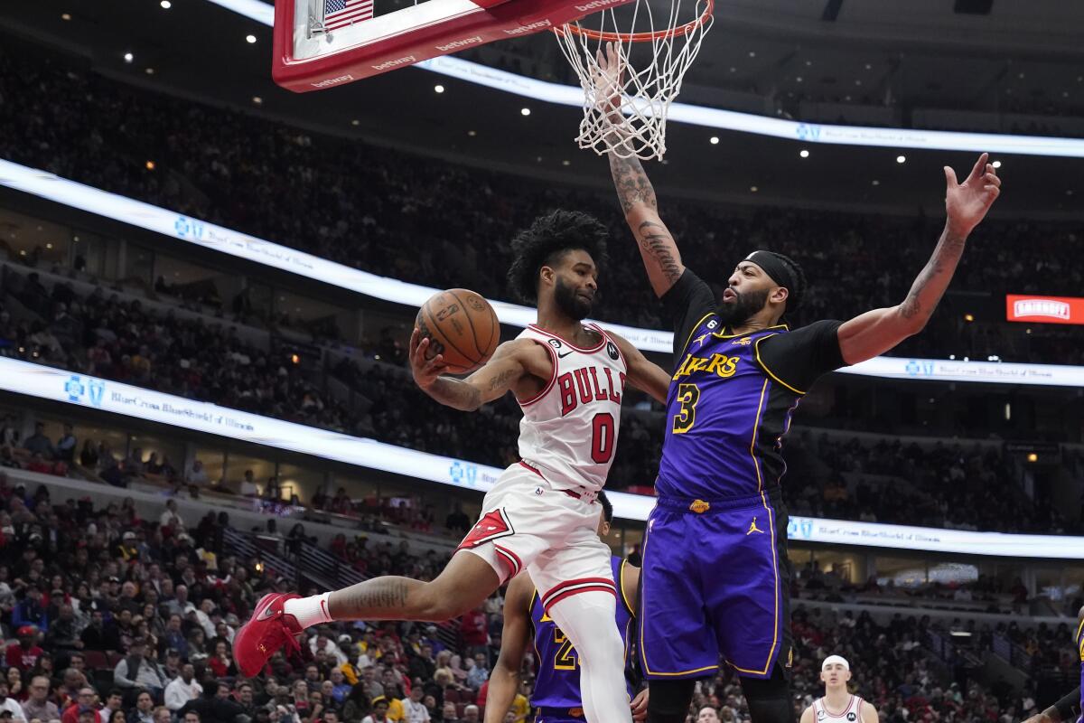 Chicago Bulls' Coby White passes under pressure from the Lakers' Anthony Davis.