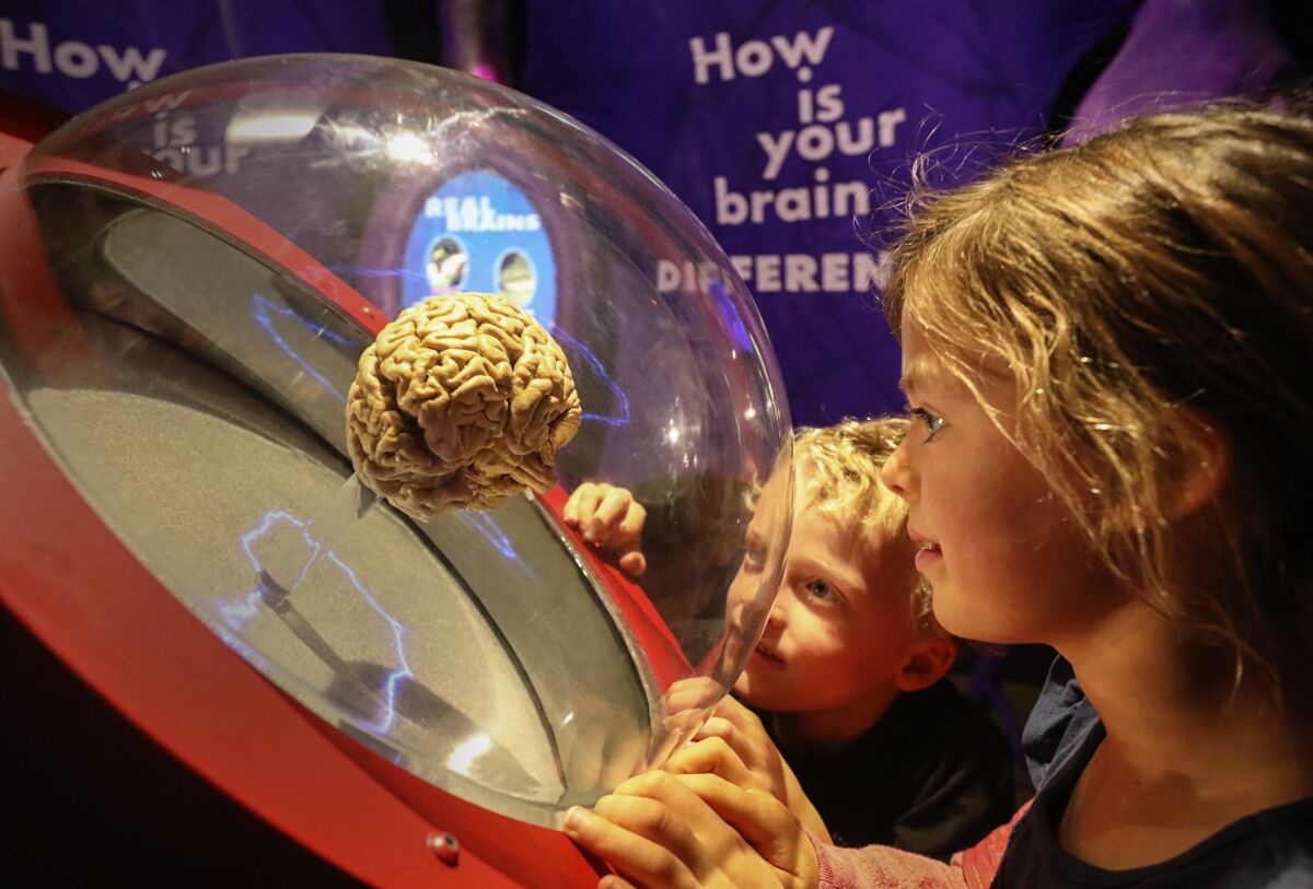 Siblings Max (left), 6, and Alexa, 7, Charalambous enjoy a display at the Fleet Science Center in Balboa Park.