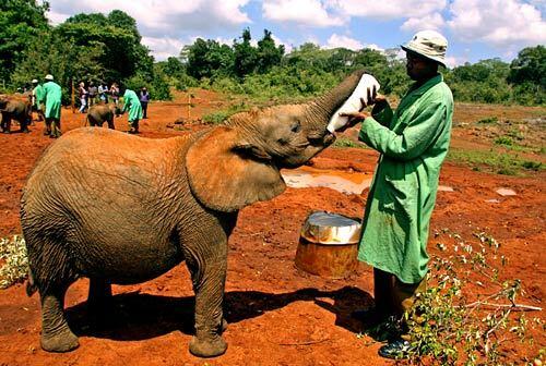 A philanthropic trip to Kenya