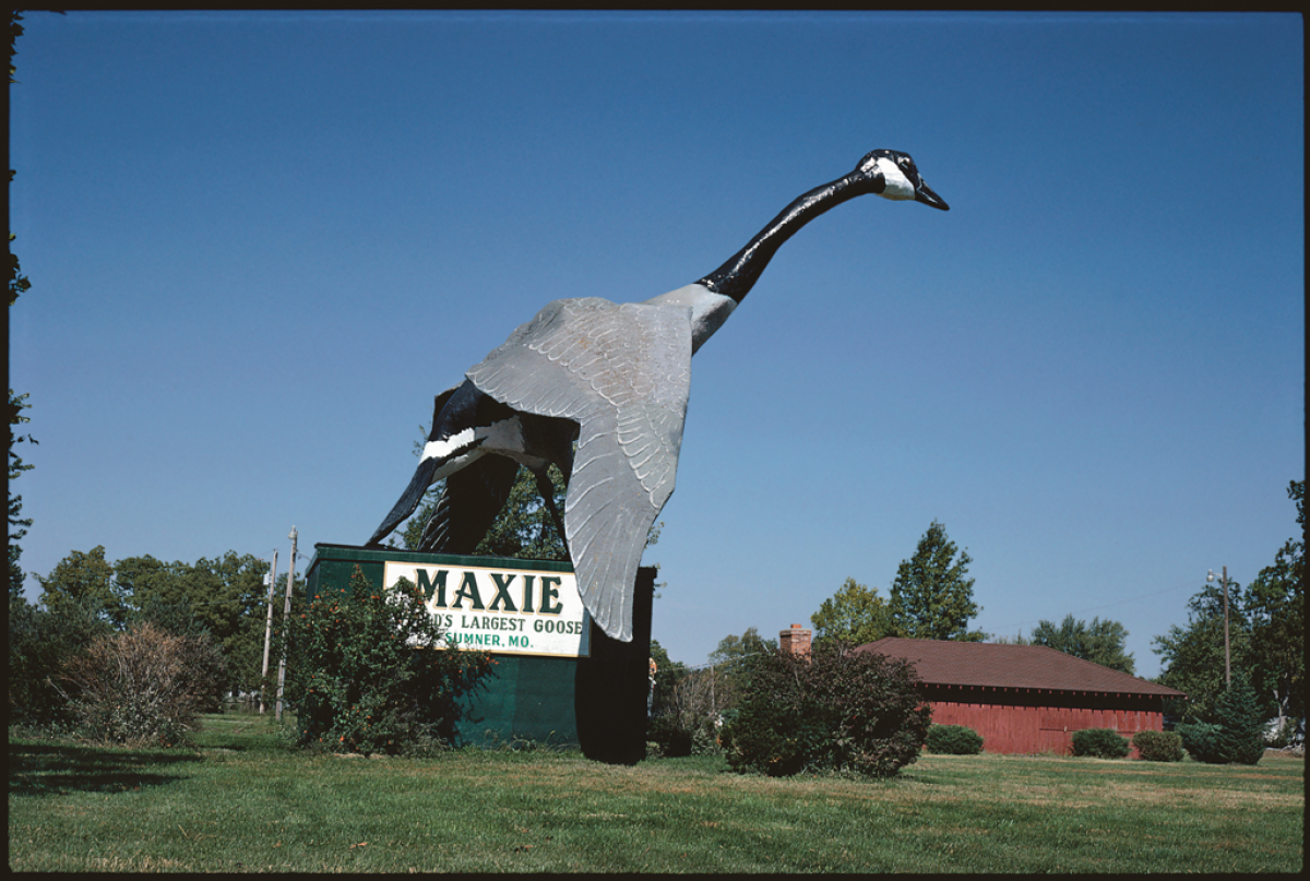Maxie, World's Largest Goose, Sumner, Missouri, 1988. (John Margolies/courtesy TASCHEN Books)